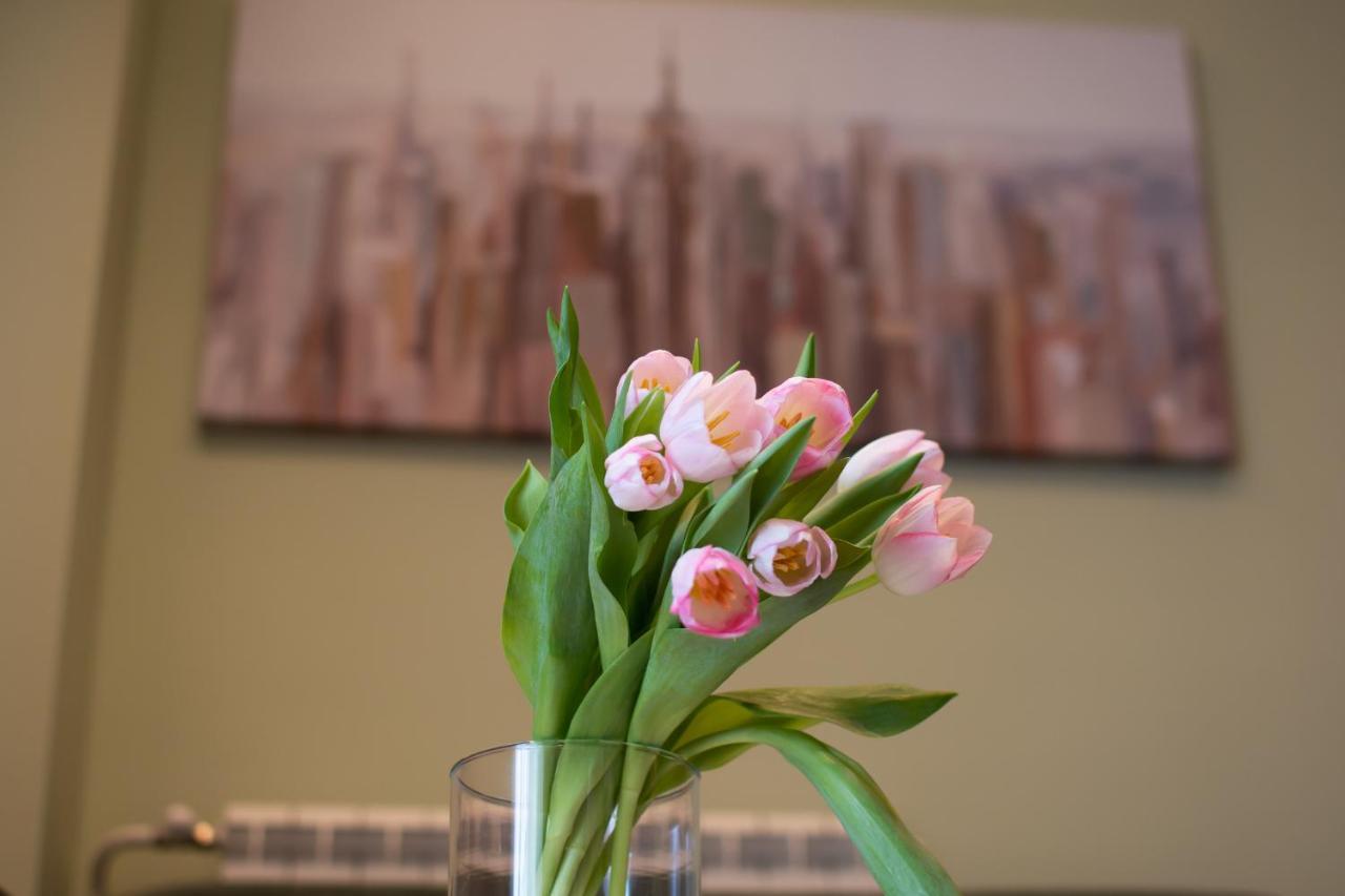 Apartament Square 6 Belgrad Zewnętrze zdjęcie